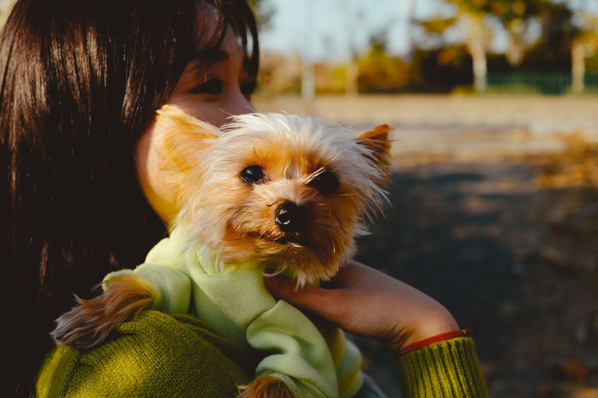 Pet Policy